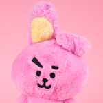 Peluche-cooky-18cm-x-13cm-x-16cm-serie-bt21-BT21-7-20399