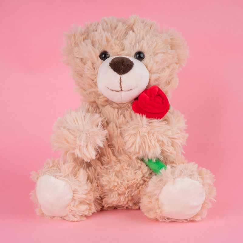 Peluche-osito-con-una-rosa-25cm-serie-miniso-Miniso-7-21186