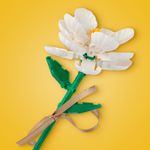 Bloques-camelia-serie-miniso-Miniso-2-22576