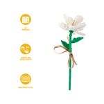 Bloques-camelia-serie-miniso-Miniso-3-22576