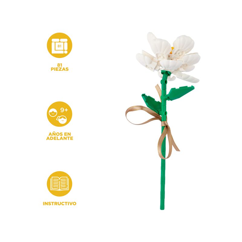 Bloques-camelia-serie-miniso-Miniso-3-22576