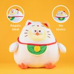 Peluche-44-cm-wealth-chicken-serie-dundun-Miniso-5-23033