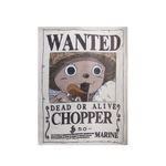 Manta-extra-grande-colecci-n-one-piece-chopper-One-Piece-1-23355