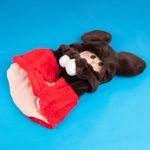 Capa-mickey-collection-para-mascotas-serie-disney-Disney-4-23943