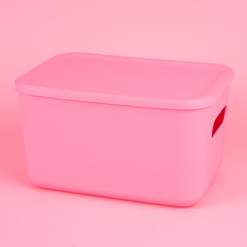 Organizador-de-pl-stico-con-tapa-serie-rainbow-l-rosa-Miniso-3-24082