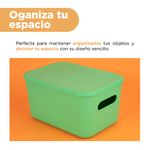 Organizador-de-pl-stico-con-tapa-serie-rainbow-l-verde-Miniso-5-24083