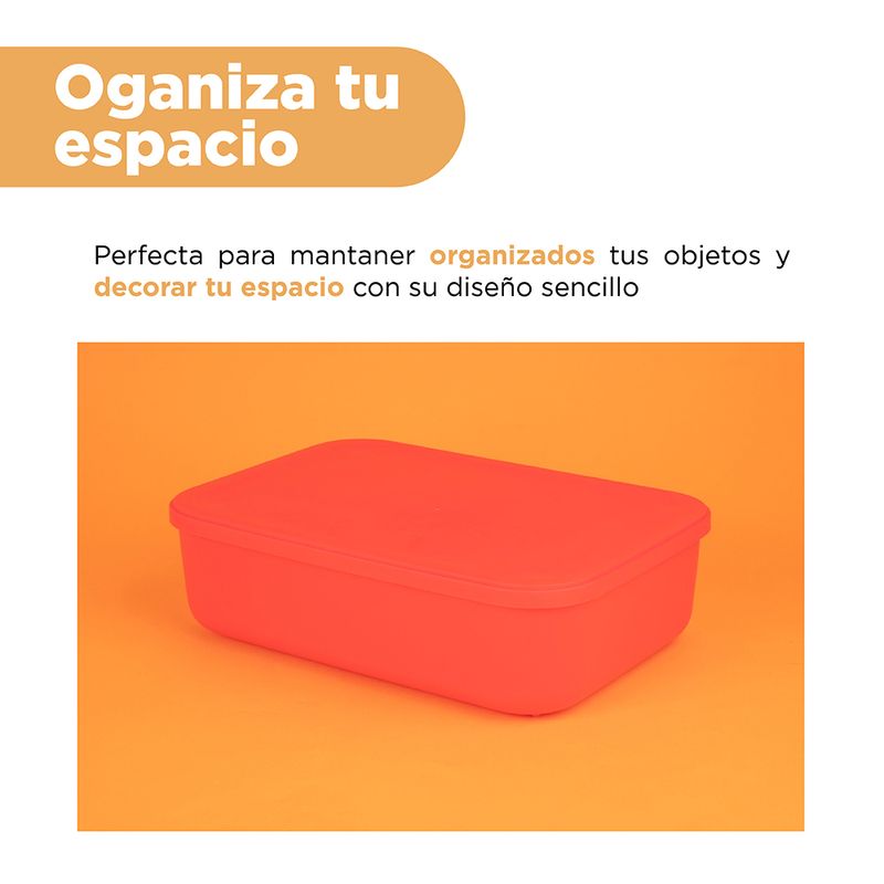 Organizador-de-pl-stico-con-tapa-serie-rainbow-s-rojo-Miniso-4-24084