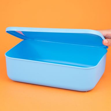 Organizador de plástico serie rainbow con tapa s azul -  Miniso