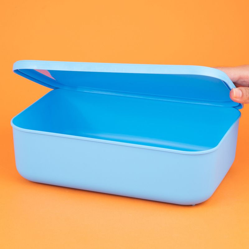 Organizador-de-pl-stico-serie-rainbow-con-tapa-s-azul-Miniso-2-24085