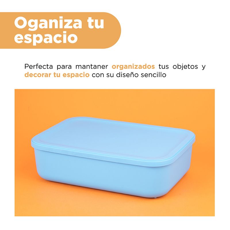 Organizador-de-pl-stico-serie-rainbow-con-tapa-s-azul-Miniso-5-24085