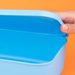 Organizador-de-pl-stico-serie-rainbow-con-tapa-s-azul-Miniso-6-24085