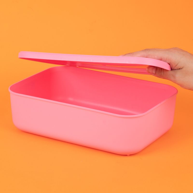 Organizador-de-pl-stico-con-tapa-serie-rainbow-s-rosa-Miniso-2-24086