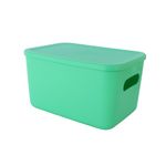 Organizador-de-pl-stico-con-tapa-serie-rainbow-l-verde-Miniso-1-24083