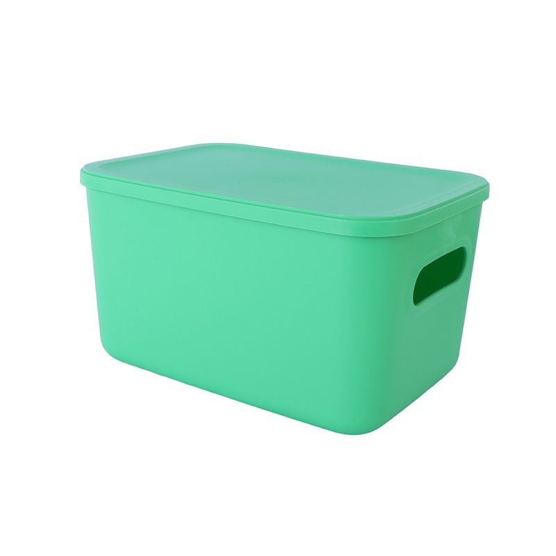 Organizador-de-pl-stico-con-tapa-serie-rainbow-l-verde-Miniso-1-24083