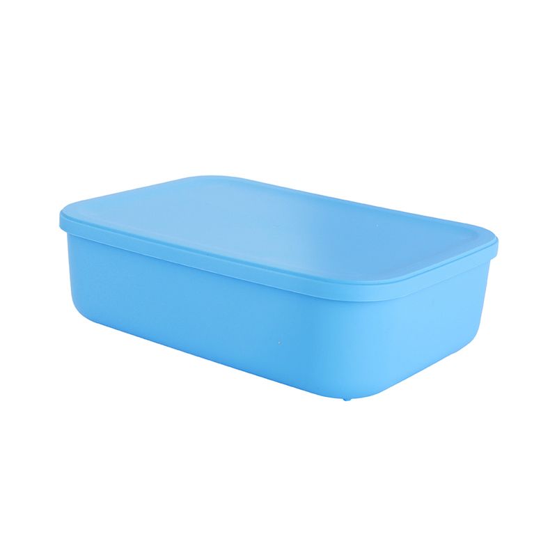 Organizador-de-pl-stico-serie-rainbow-con-tapa-s-azul-Miniso-1-24085