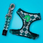 Set-de-arn-s-y-correa-slytherin-serie-harry-potter-Harry-Potter-2-24407