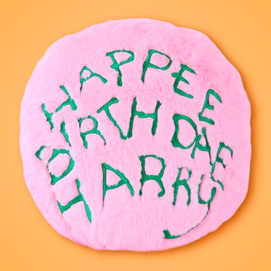 Cojín redondo hagrid S torta de cumpleaños serie harry potter -  Harry Potter