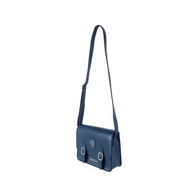 Bolso estilo preppy colección harry potter ravenclaw -  Harry Potter