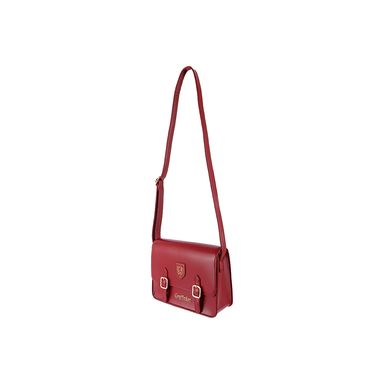 Bolso estilo preppy colección harry potter gryffindor -  Harry Potter