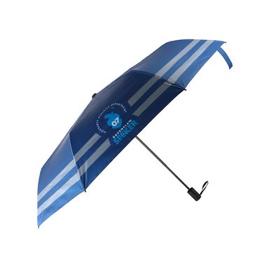 Paraguas extra grande de harry potter ravenclaw azul -  Harry Potter
