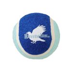 Pelota-ravenclaw-serie-harry-potter-Harry-Potter-1-24424