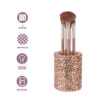 Juego-de-brochas-de-maquillaje-con-soporte-4-piezas-dorado-Miniso-3-24803
