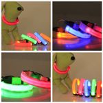 Collar-de-mascotas-con-luz-led-modelo-scdd-2804-miniso-Miniso-2-17739
