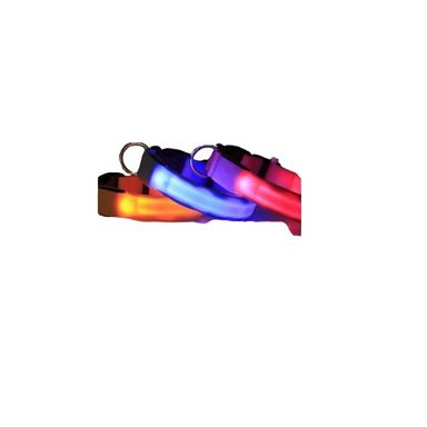 Collar de mascotas con luz led modelo scdd 2804 miniso -  Miniso
