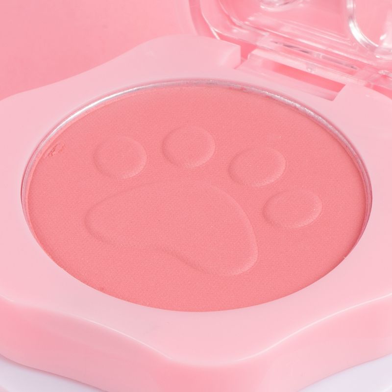 Rubor-paw-paw-collection-01-Miniso-5-25005