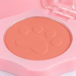 Rubor-paw-paw-collection-02-Miniso-5-25006