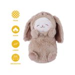 Peluche-25-cm-lamb-baa-series-conejito-serie-mini-family-Mini-Family-4-25179