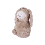 Peluche-25-cm-lamb-baa-series-conejito-serie-mini-family-Mini-Family-1-25179