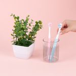 Cepillos-dentales-de-alta-densidad-soft-petal-2-unidades-Miniso-2-14845