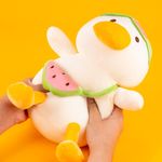 Peluche-serie-playa-pato-buceador-sandia-serie-miniso-Miniso-2-27259