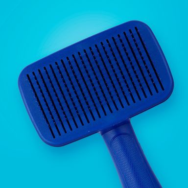 Cepillo azul serie macaron 2.0 -  Miniso
