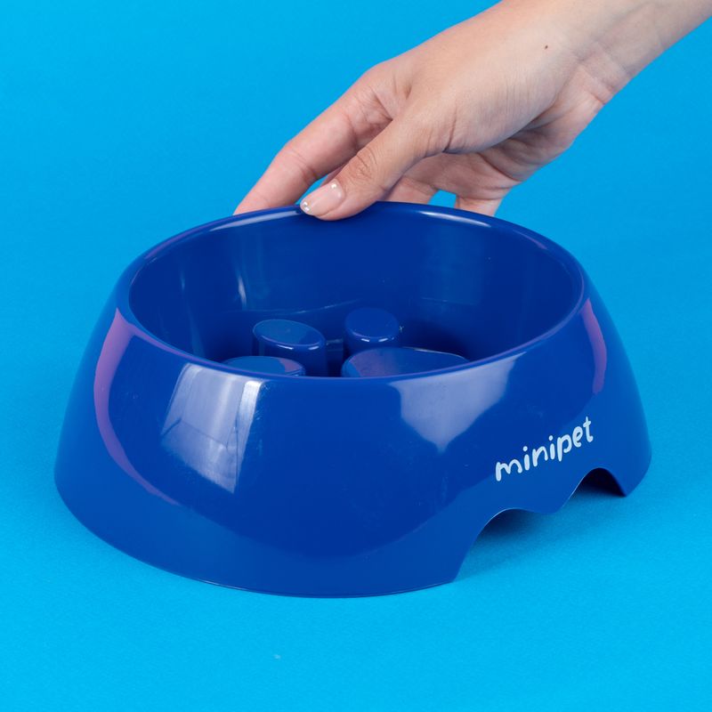 Comedero-lento-azul-serie-macaron-2-0-Miniso-2-27312