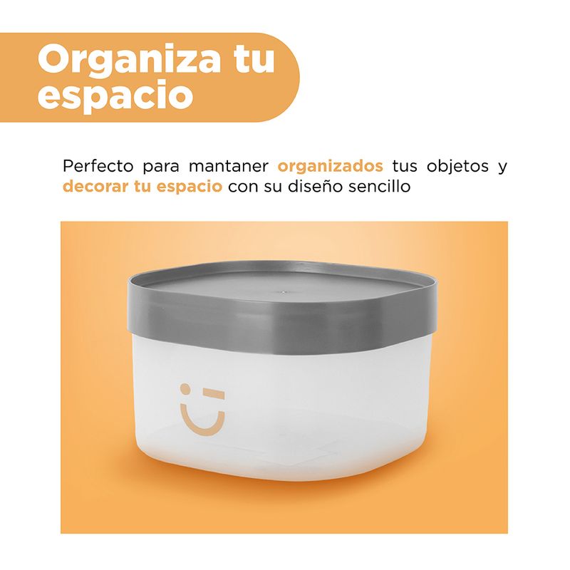Organizador-de-pl-stico-serie-gris-peque-a-gris-oscuro-Silver-Gray-6-27693