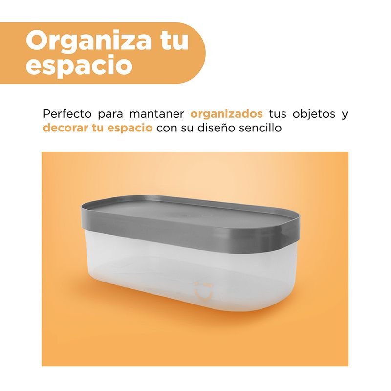 Organizador-de-pl-stico-serie-gris-grande-gris-oscuro-Silver-Gray-6-27700