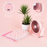Ventilador-de-escritorio-1200mah-rosa-16x18-cm-Miniso-6-26755
