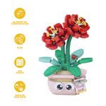 Bloques-plantas-de-interior-de-primavera-lirio-de-barbados-serie-miniso-Miniso-3-28679