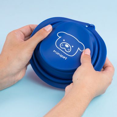 Comedero plegable azul serie macaron 2.0 -  Miniso