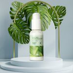 Loci-n-hidratante-de-al-e-vera-Miniso-3-13481