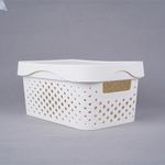 Organizador-de-plastico-minimalista-con-tapa-25-8x18x12-3cm-Miniso-2-10831