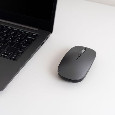 Mouse ergonómico inalámbrico silencioso modelo lw5 gris miniso -  Miniso