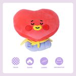 Peluche-baby-de-aspecto-acostado-tata-serie-bt21-BT21-Baby-3-30117