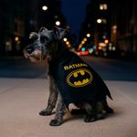 Capa-de-batman-serie-dc-para-mascotas-DC-2-30171