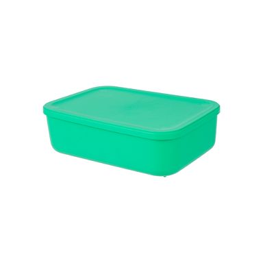 Caja de almacenamiento plástico verde 26x8 cm -  Miniso