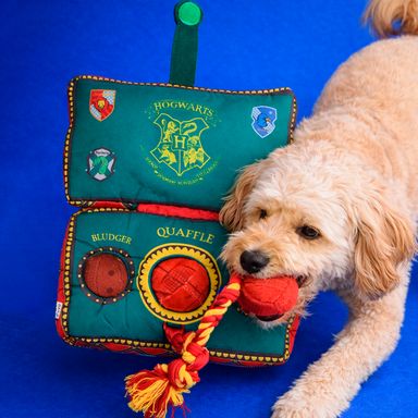Juguetes para mascotas harry potter -  Harry Potter