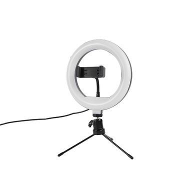 Aro de luz con soporte sintético blanco -  Miniso