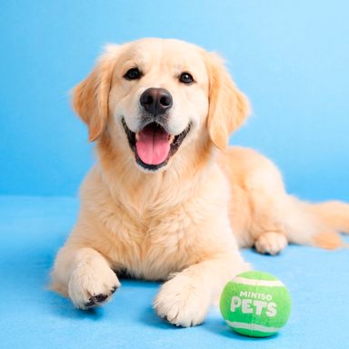 Set de pelotas sintéticas para mascota color verde fluorescente 2 piezas -  Miniso